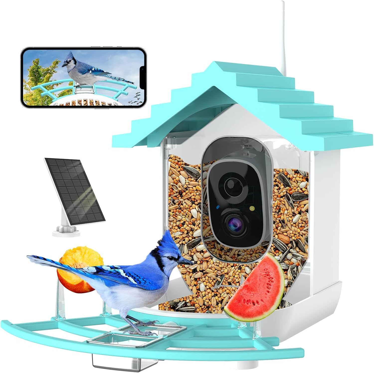 Smart Bird Feeder With Camera,Solar-Powered WiFi 4MP Live Camera - Image 4
