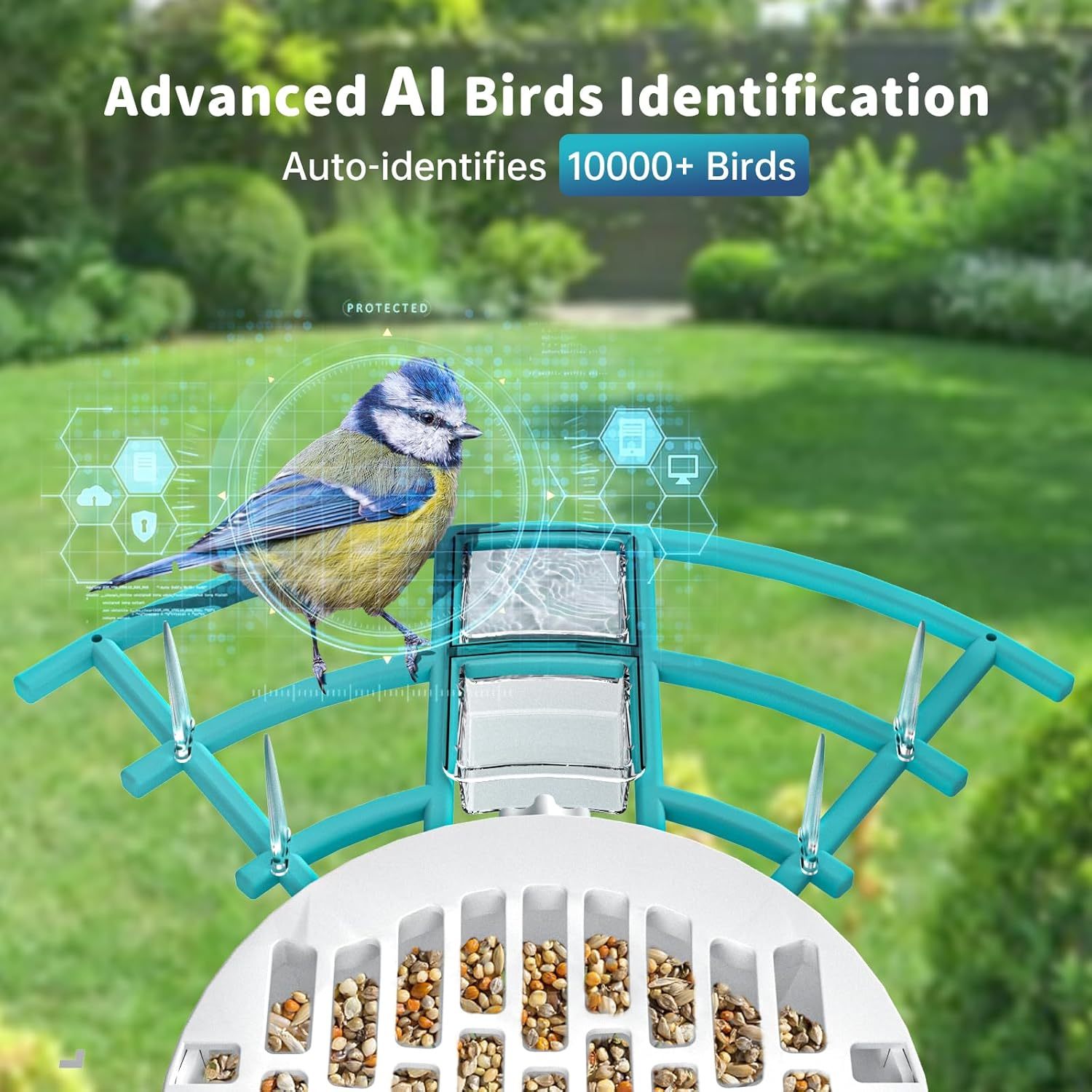 Smart Bird Feeder With Camera,Solar-Powered WiFi 4MP Live Camera - Image 5