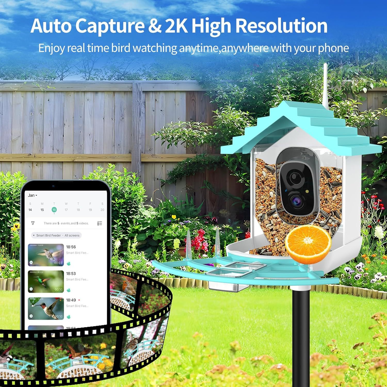 Smart Bird Feeder With Camera,Solar-Powered WiFi 4MP Live Camera - Image 6