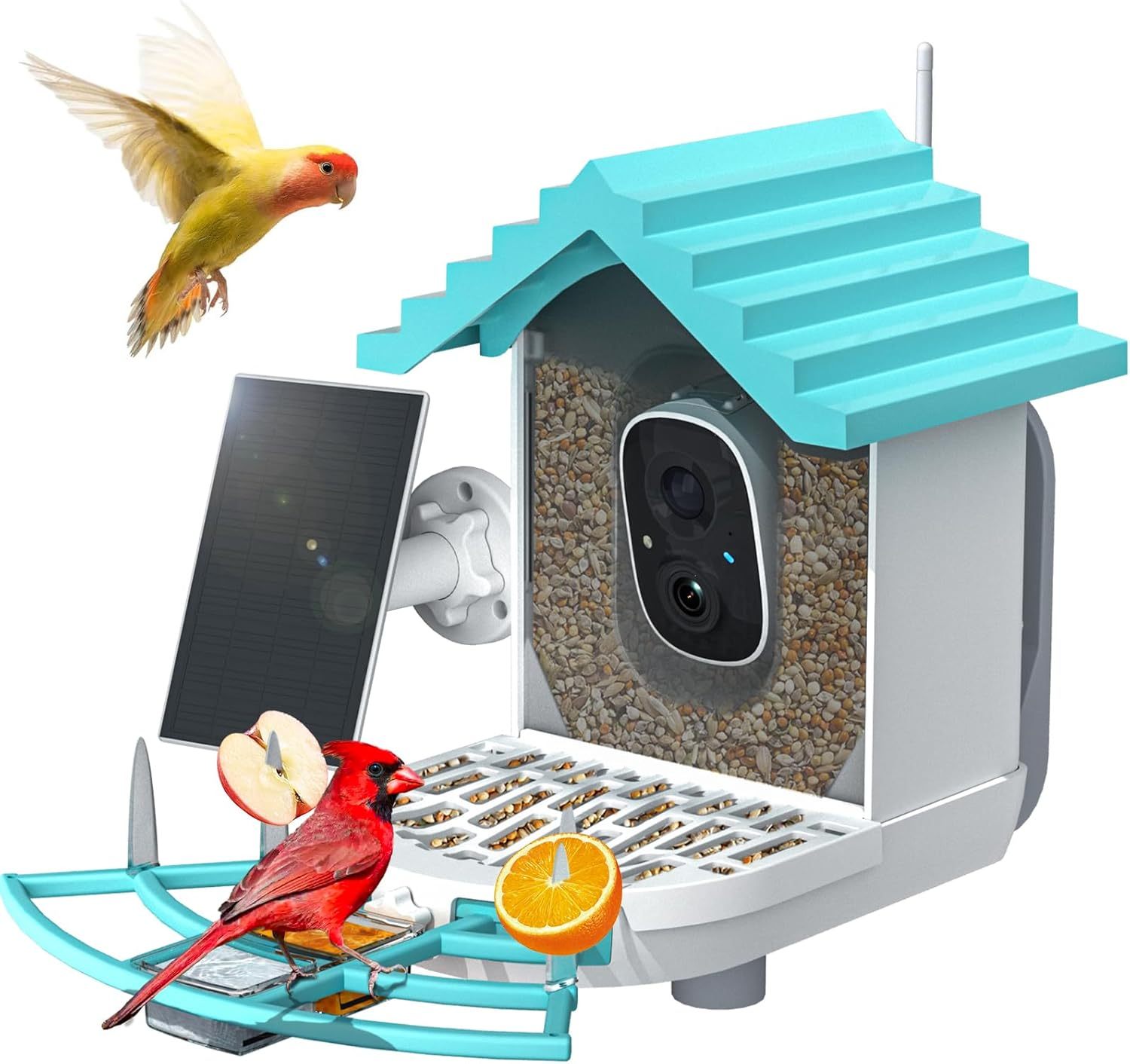 Smart Bird Feeder With Camera,Solar-Powered WiFi 4MP Live Camera