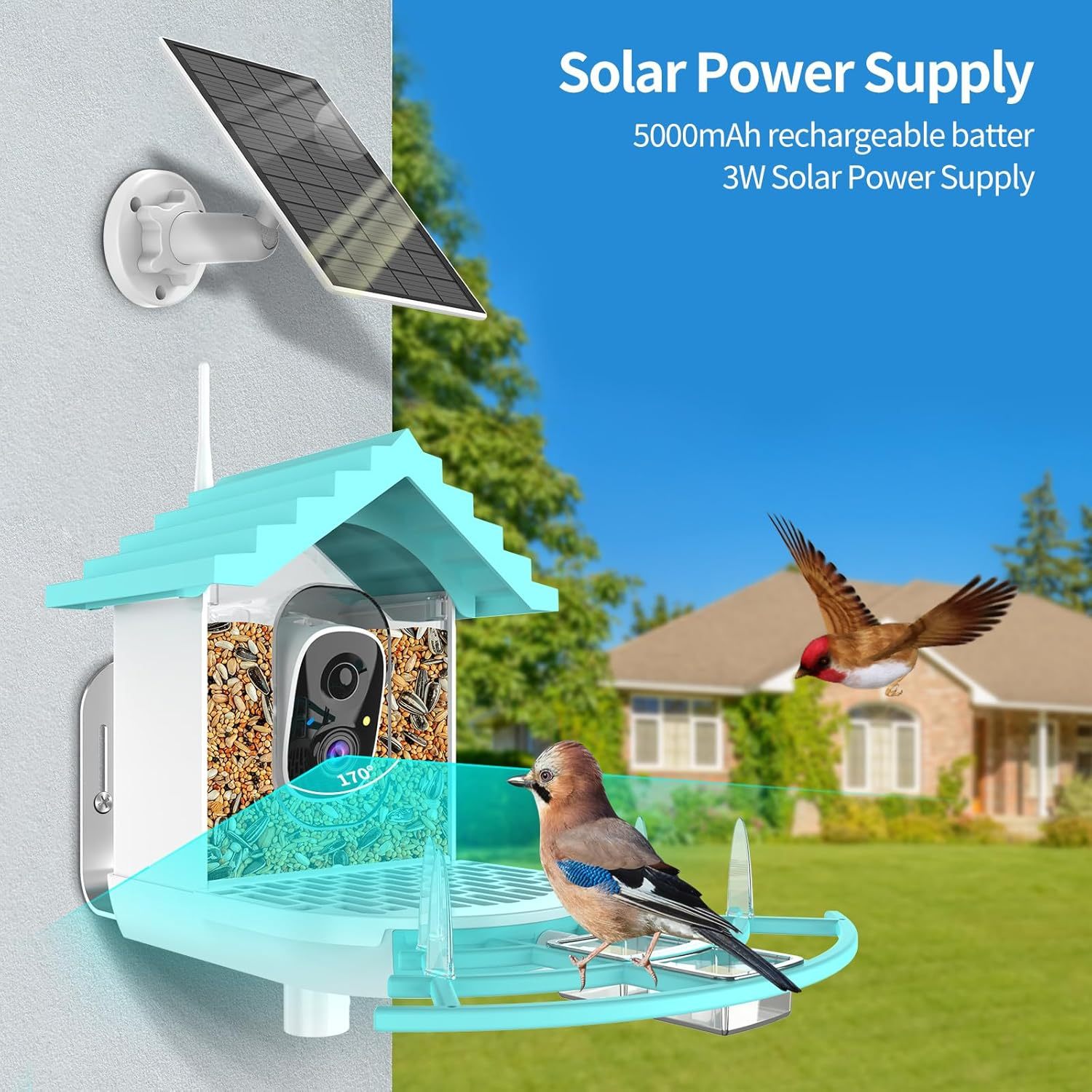 Smart Bird Feeder With Camera,Solar-Powered WiFi 4MP Live Camera - Image 8